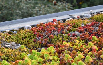the cost of Jaywick green roof installation