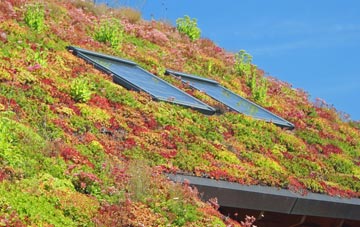 Jaywick living roof systems